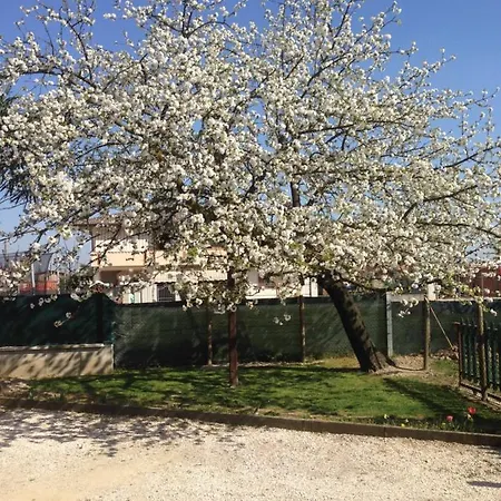 Ca' Marsari Apartment Sant'Angelo  Exterior photo