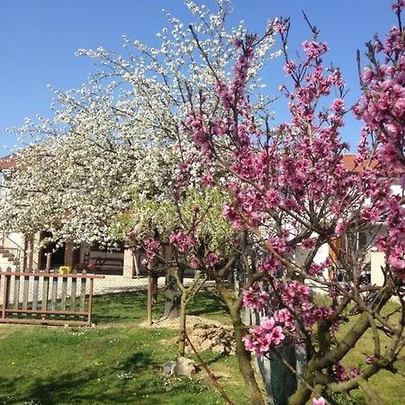 Ca' Marsari Apartment Sant'Angelo  Exterior photo