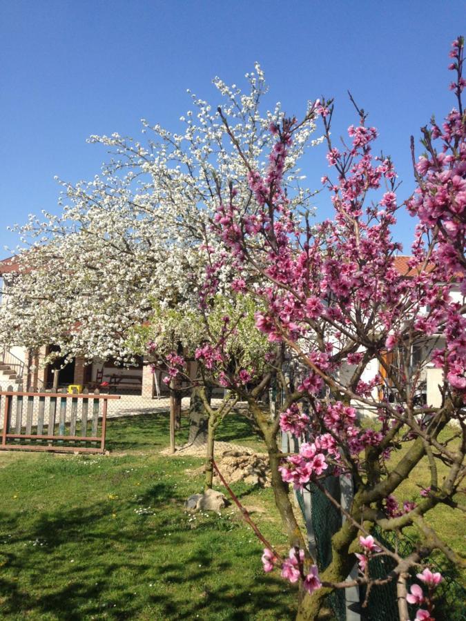 Apartment Ca' Marsari